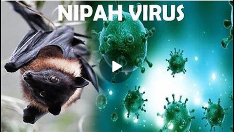 July 2024- India Goes Live With A Nipah Hoax Outbreak - PRC Testing & Masking The Sheeple Again!!