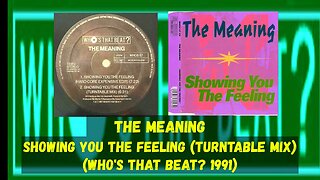 (House, Hardcore 1991,) The Meaning - Showing You The Feeling (Turntable Mix)