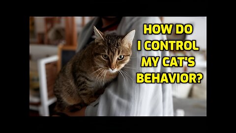 Can You Change A Cat's Behavior?