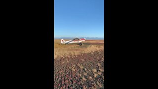 Piper across the Inlet