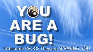 YOU ARE A BUG - THAT'S WHY THEY ARE SPRAYING YOU!!