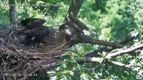 Hays Eagles H19 and H20 in waiting on a food delivery! 07-08-2023 14:48