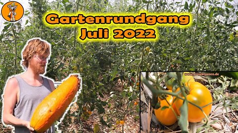 Das wird ein Tomatenjahr! Jahrhundert alte Kürbissorte | Melonen und Gurken anbauen