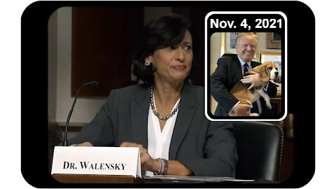 CDC Boss Lost Her Woke Cool at Hearing! * Nov. 4, 2021