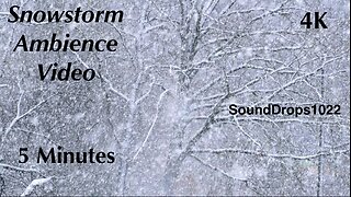 Snowfall Serenity: 5-Minute Bliss