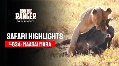 Safari Highlights #634: 11 & 12 Sep 2021 | Maasai Mara/Zebra Plains | Latest Wildlife Sightings