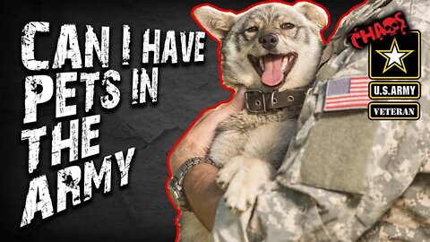 PETS IN THE ARMY: Are they allowed?