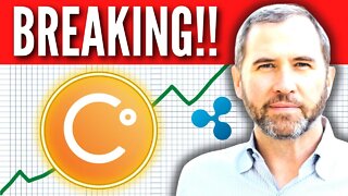 🚨BREAKING: Ripple Wants To Buy Celsius