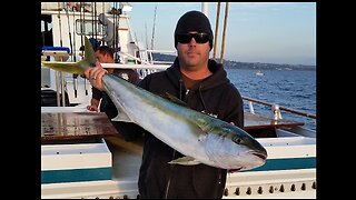 (9) 01/13/2015 - WINTER Yellowtail caught with a 160g Flat-Fall jig aboard the New Seaforth.