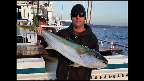 (9) 01/13/2015 - WINTER Yellowtail caught with a 160g Flat-Fall jig aboard the New Seaforth.