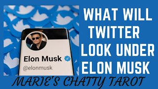 What Will Twitter Look Like Under the Leadership of Elon Musk?