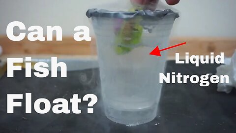 Is Liquid Nitrogen Wet? Will Things Float in Liquid Nitrogen?