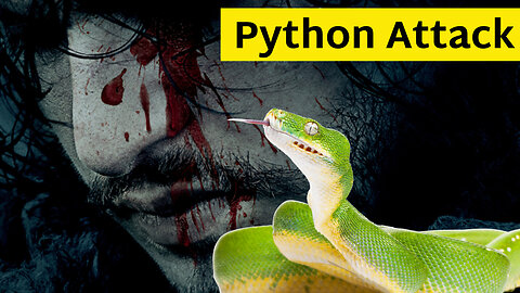 Python Attack on Man at Home