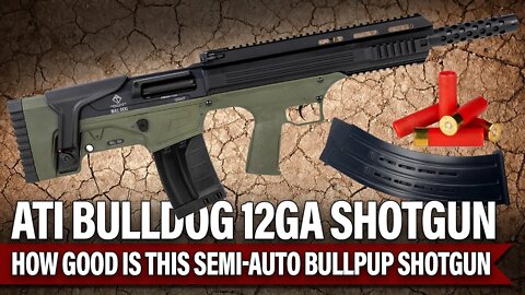 ATI Bulldog 12GA Semi-Auto Shotgun Review