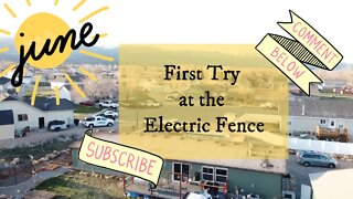 First Try at the Electric Fence...Cleaning out the Goat Pens...Again!