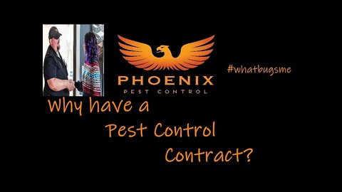 Why do you need a Pest Control Contract? #whatbugsme