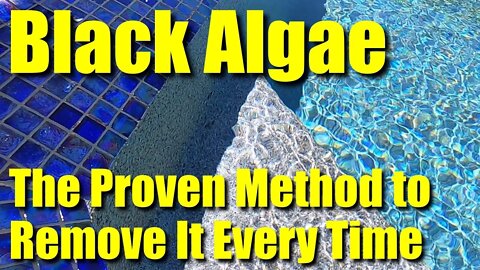 💦Pool Help 2 ● Black Algae ● Get Rid of It From Your Swimming Pool for $6 Bucks ✅