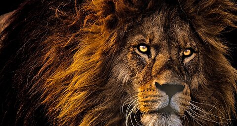 The Truth Is Like A Lion, Just Let It Loose & It Will Defend Itself...