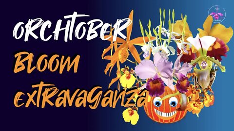 BLOOM BUSTERS 👻🎃see what I did there? 🤣| Ninja Orchids ORCHTOBER BLOOM EXTRAVAGANZA 🎃#OrchidsIBloom
