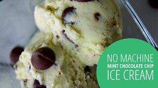 No Machine Mint Chocolate Chip Ice Cream