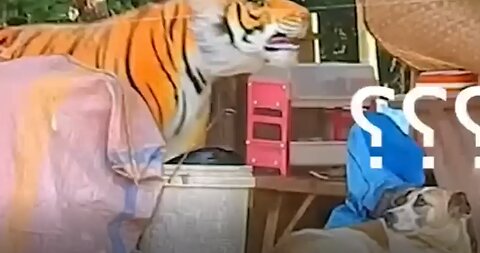 Prank Dog Funny and fake Lion and Fake Tiger Prank To dog