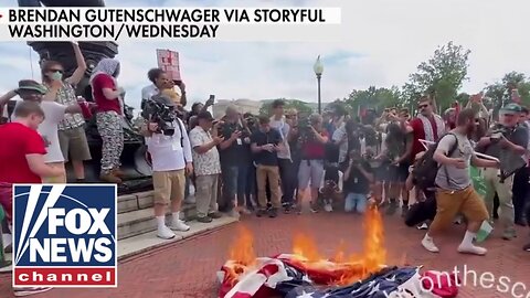 Pro-Hamas protesters rage in DC, burn American flag