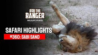 Safari Highlights #360: 29 Aug - 01 Sep 2015 | Sabi Sand Wildtuin | Latest Wildlife Sightings
