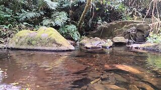 Amazing river and clear pool, beautiful peace #nature #water #peace