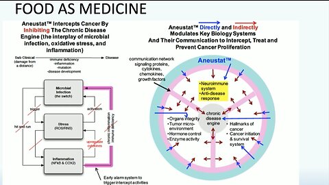 Dr. Judy Mikovits | "Food Is Medicine"