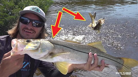 20+ Snook! BREAKING in BRAND NEW Custom Gheenoe | SNOOK FISHING