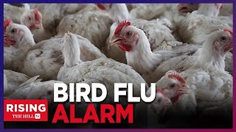 Bird FLU Alert! Don't Eat Raw Milk Or Eggs,FDA Finds Traces Of Virus in Milk: Dr Says Be Cautious