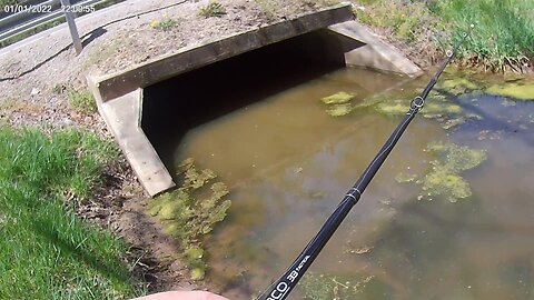 Bass Laying In A Ditch Under A Highway....Crazy Strike