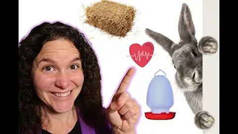 How do you keep your rabbits HEALTHY? ║ How to Raise MEAT RABBITS (Part 7/8)