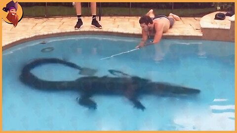 14 Strange ANIMALS Found in Swimming Pools