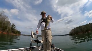Lake Russell Bass Spawn