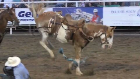 Editorial saddle bronc at a PRCA Oakley rodeo