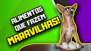 Como alimentar Cachorro com Doença do Carrapato | Dr. Edgard Gomes | Alimentação natural para Cães