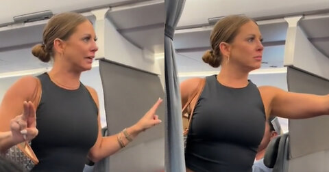 Woman Has a Bizarre Meltdown During American Airlines Flight Over 'Not Real' Passenger