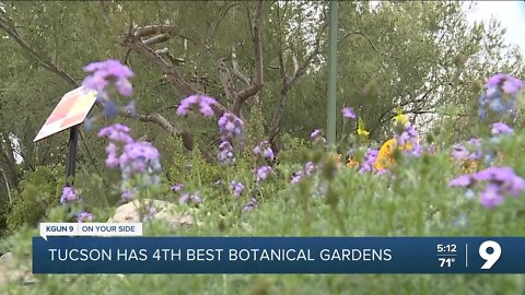 Tucson Botanical Gardens named fourth best in USA Today Readers' Choice Awards