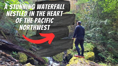 THIS is the Pacific Northwest | Mossy and Enchanted Creek plus 2 Waterfalls | Oregon