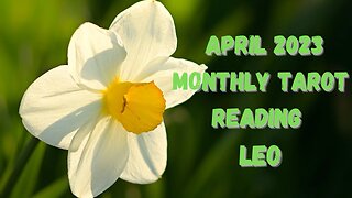 LEO - Set free from all ties #leo #april #tarot #tarotary #monthlyreading #aprilreading