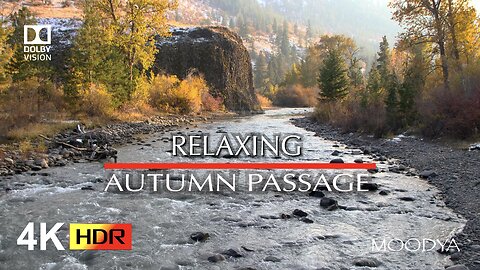 4K HDR Nature Videos - Relaxing Autumn River Colors & Sounds - Peaceful Feeling