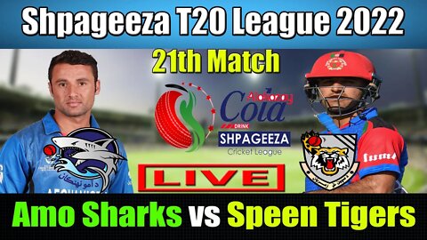 Shpageeza Cricket League Live, Amo Sharks vs Speen Ghar Tigers t20 live, 21th match live score