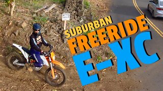 Suburban Freerider