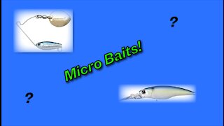 Favorite Micro Baits for Bass
