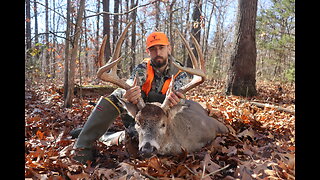 MISSOURI WHITETAIL BUCK