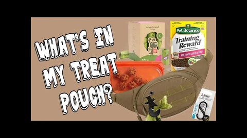 What's In My Dog Training Bag - Treat Pouch
