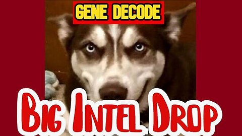 Gene Decode DUMBS Intel > u.s Military Bringing It All Down 09/06/23..