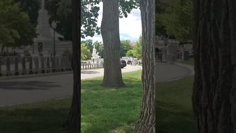 5/28/22 Nancy Drew in DC-Video 3- Setting Up for Annual Memorial Day Concert