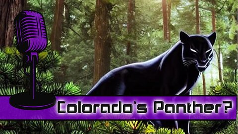 Mystery in Manitou Springs: Exploring Reports of Black Panther Sightings
